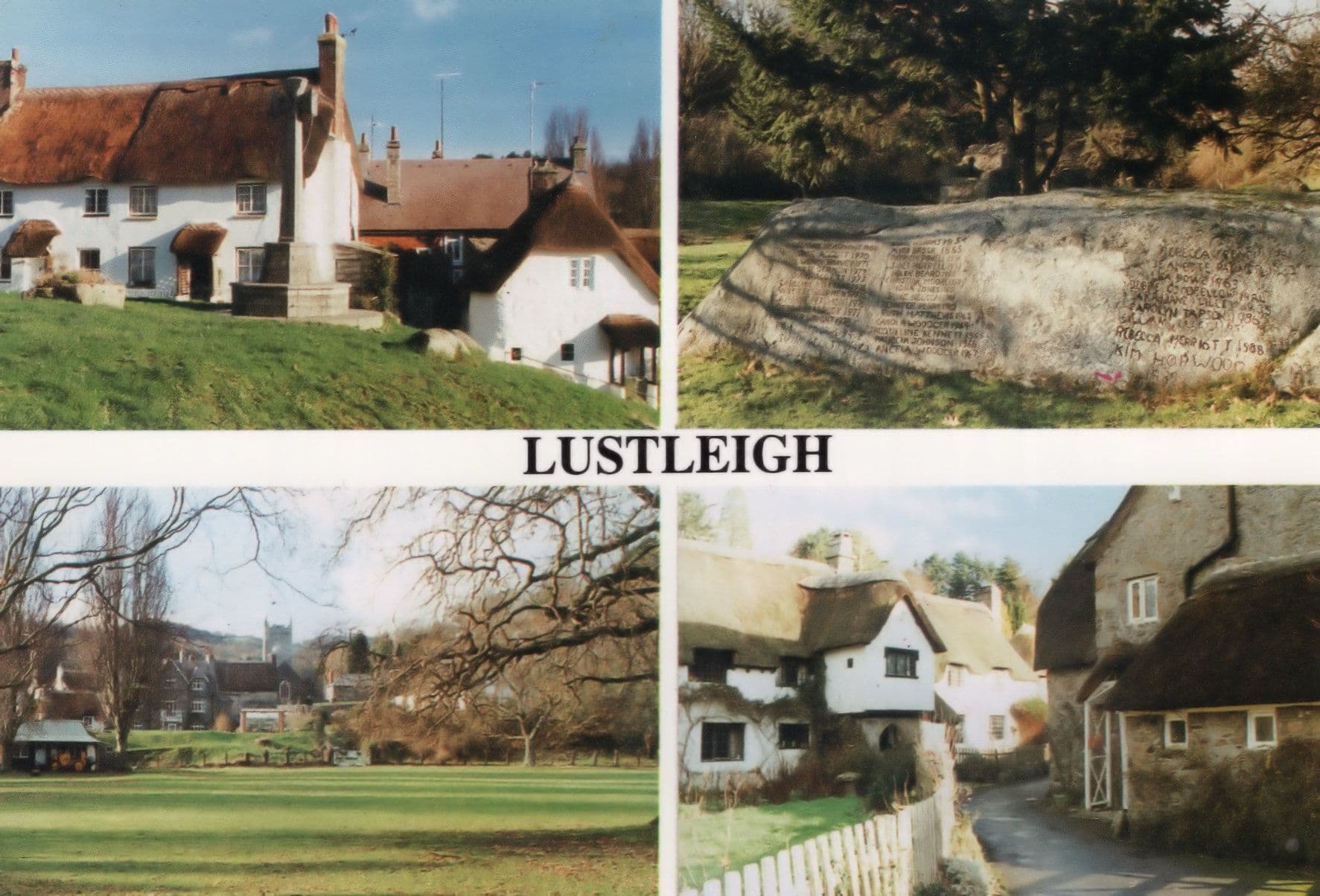 Lustleigh Cricket Pitch Devon Map Dairy Advertising Postcard