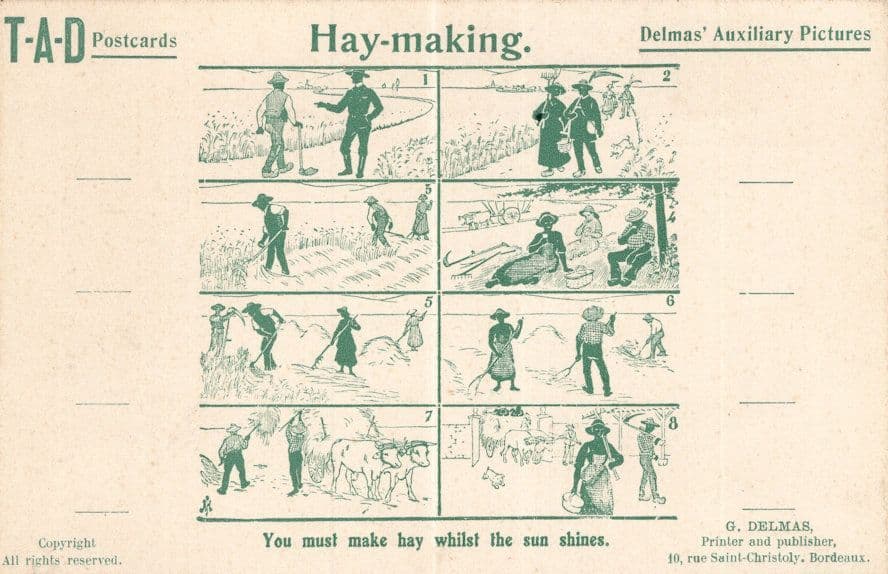 Make Making Hay While The Sun Shines African Comic Farming Postcard