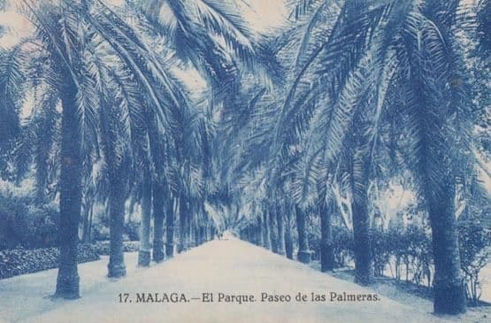 Malaga El Parque Paseo De Las Palmeras Antique Postcard