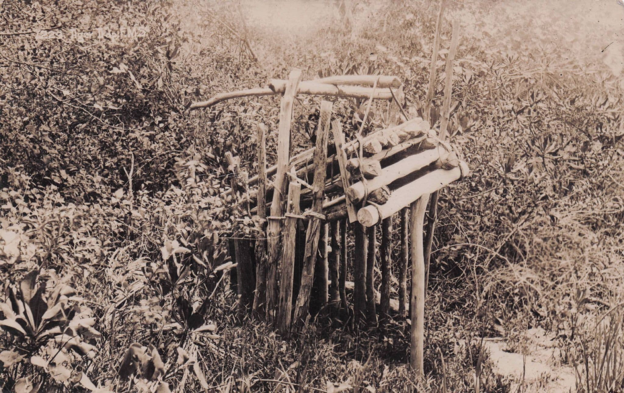 Malaya Sakais Tribe Animal Hunting Trap Old Photo Postcard
