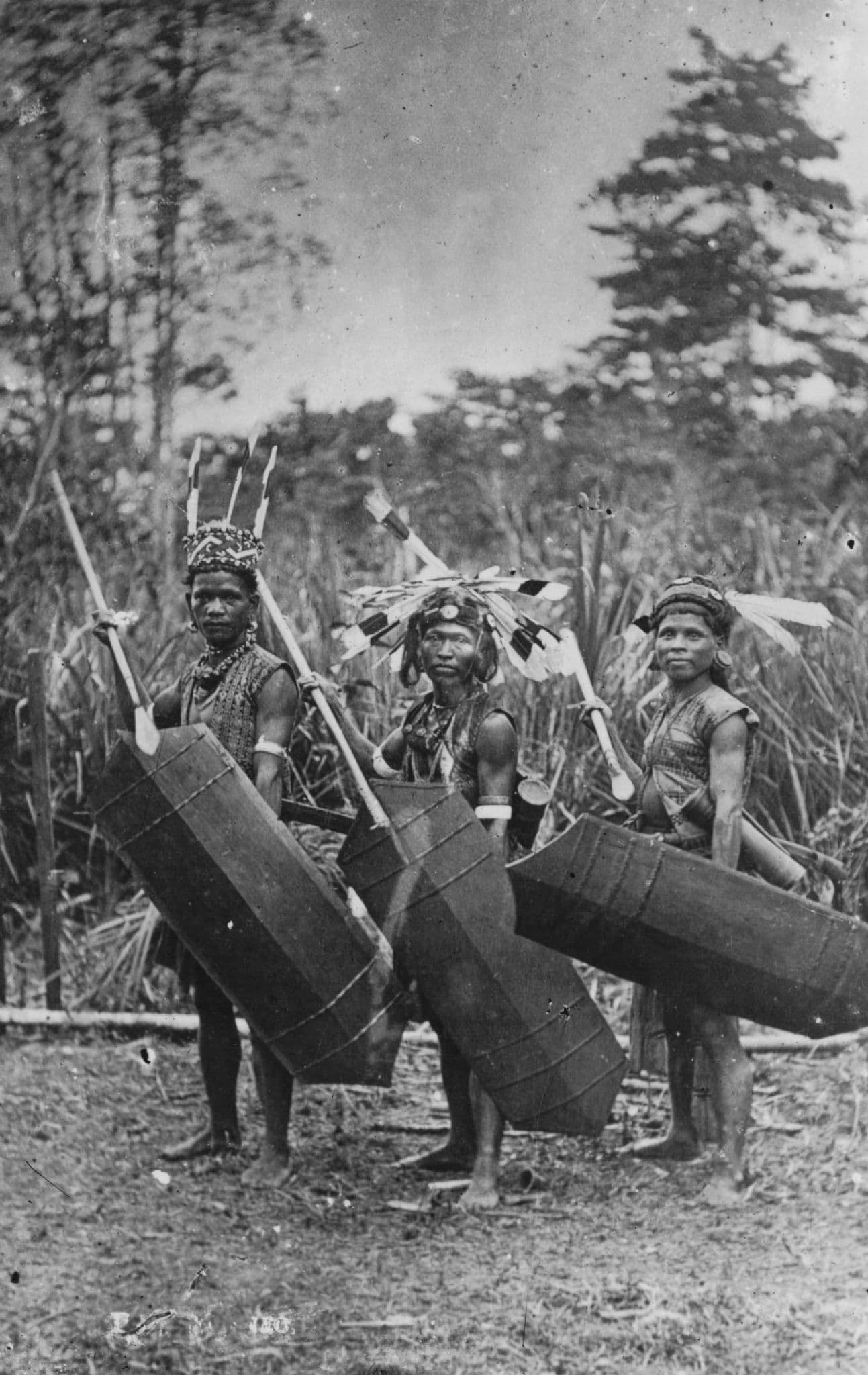 Malaya Tribe Shields Weapons Real Photo Malaysia Old Postcard