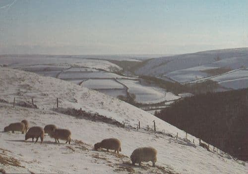 Malsmead From County Gate in Winter Somerset Exmoor National Park Postcard