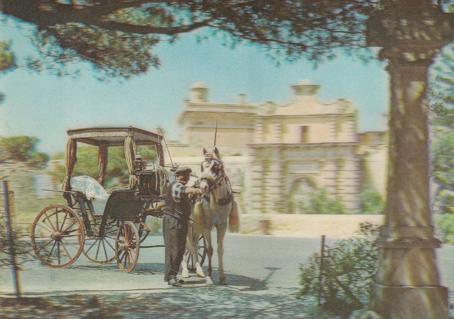 Maltese Cab Taxi Horse 3D Three Dimensional Old Malta Postcard