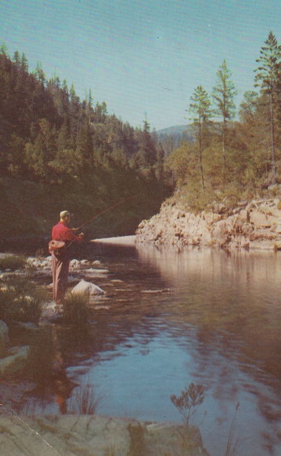 Man Fishing at Smith River Del Norte Country Calafornia Union Oil Co Postcard