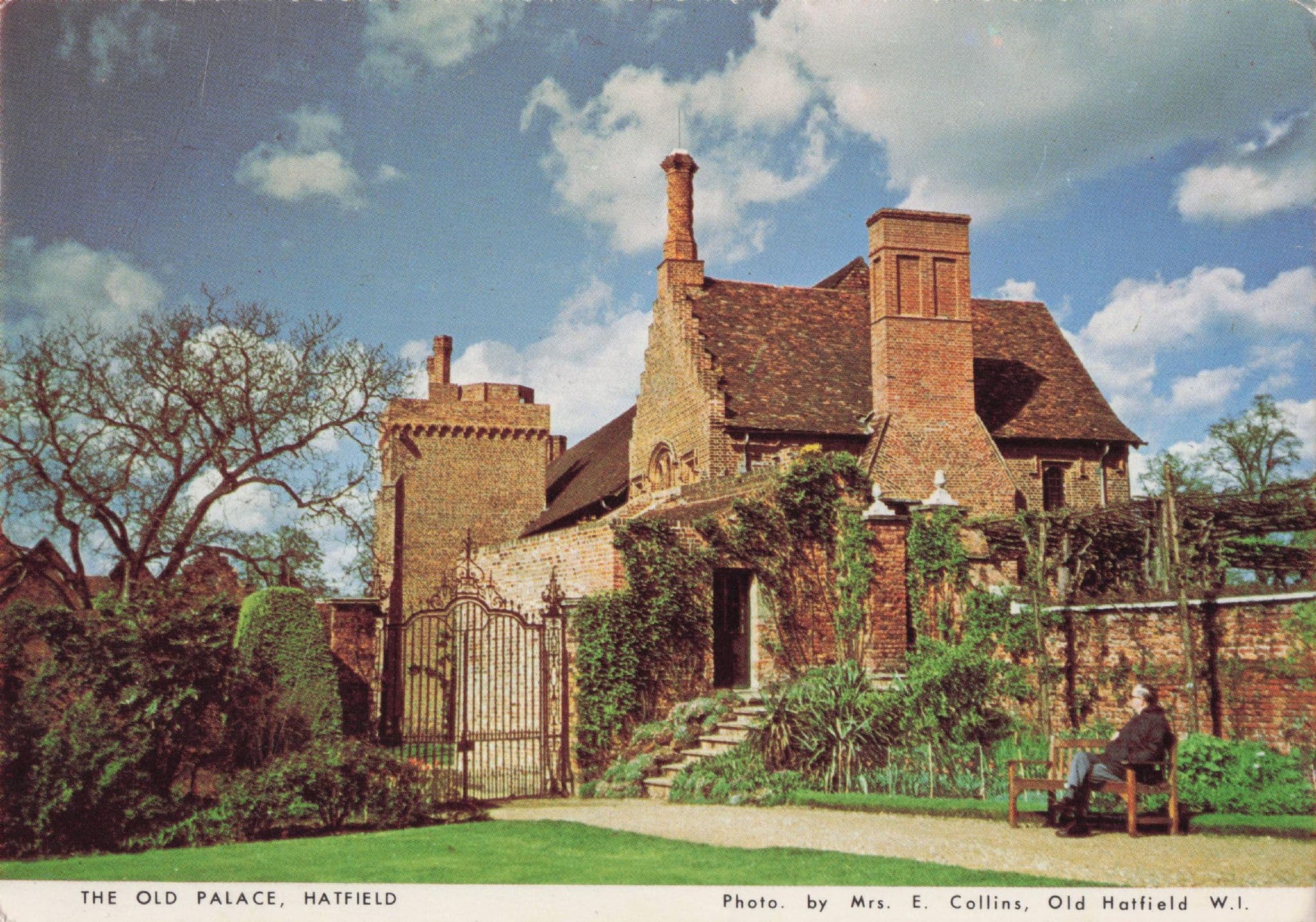 Man on Bench At Old Hatfield Palace Herts Women 's Institute Postcard