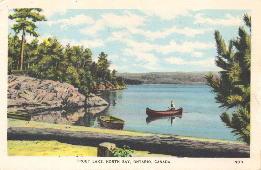 Man Rowing on Trout Lake Ontario Canada Antique Postcard