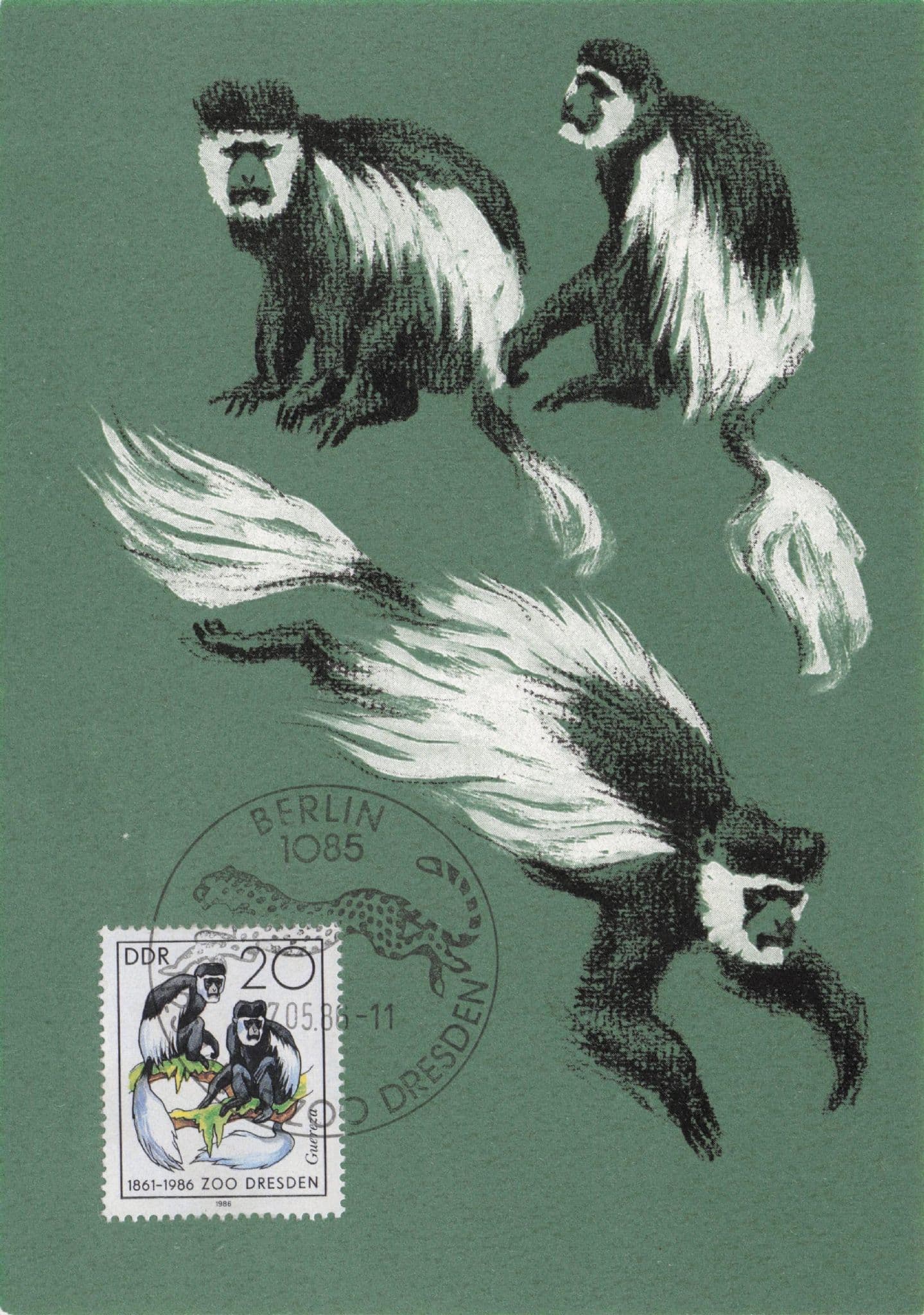 Mantled Geureza German Monkey Abyssinian FDC Postcard