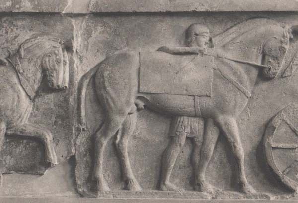 Marble Frieze From Lycia British Museum Exhibit Sculpture Antique Greek Postcard