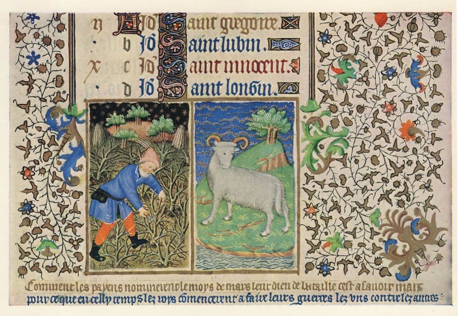 March Pruning Trees Aries British Museum Horoscope Postcard