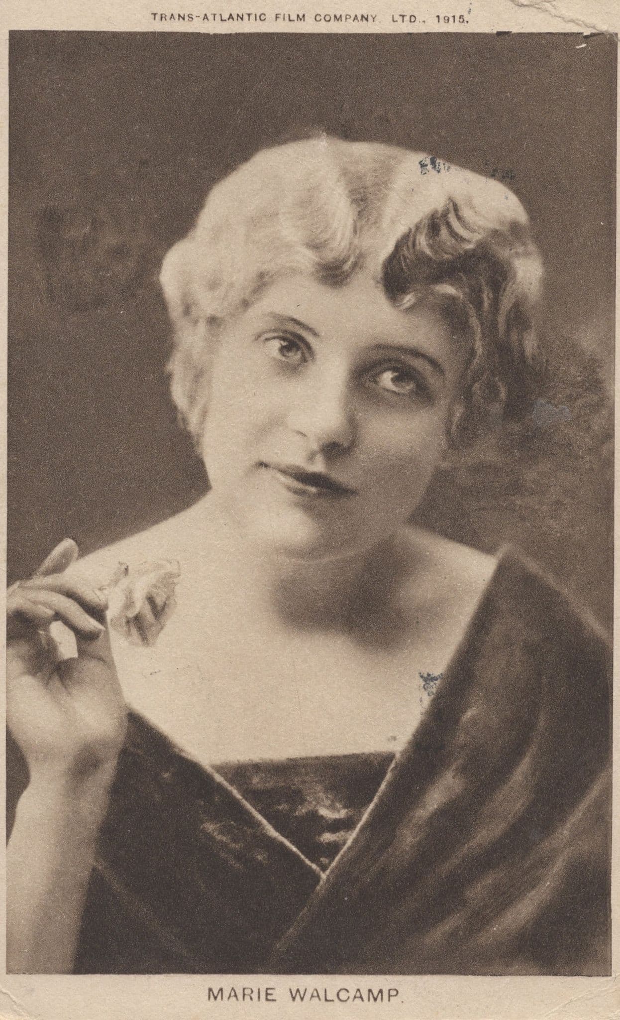 Marie Walcamp Silent Film Star WW1 Postcard & More