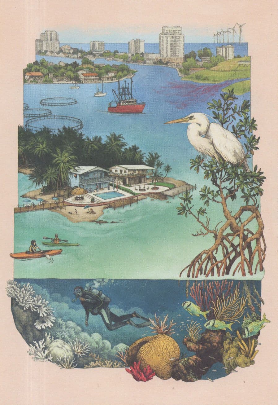 Marine Protected Area Diver Sealife Fish Collection Painting Postcard
