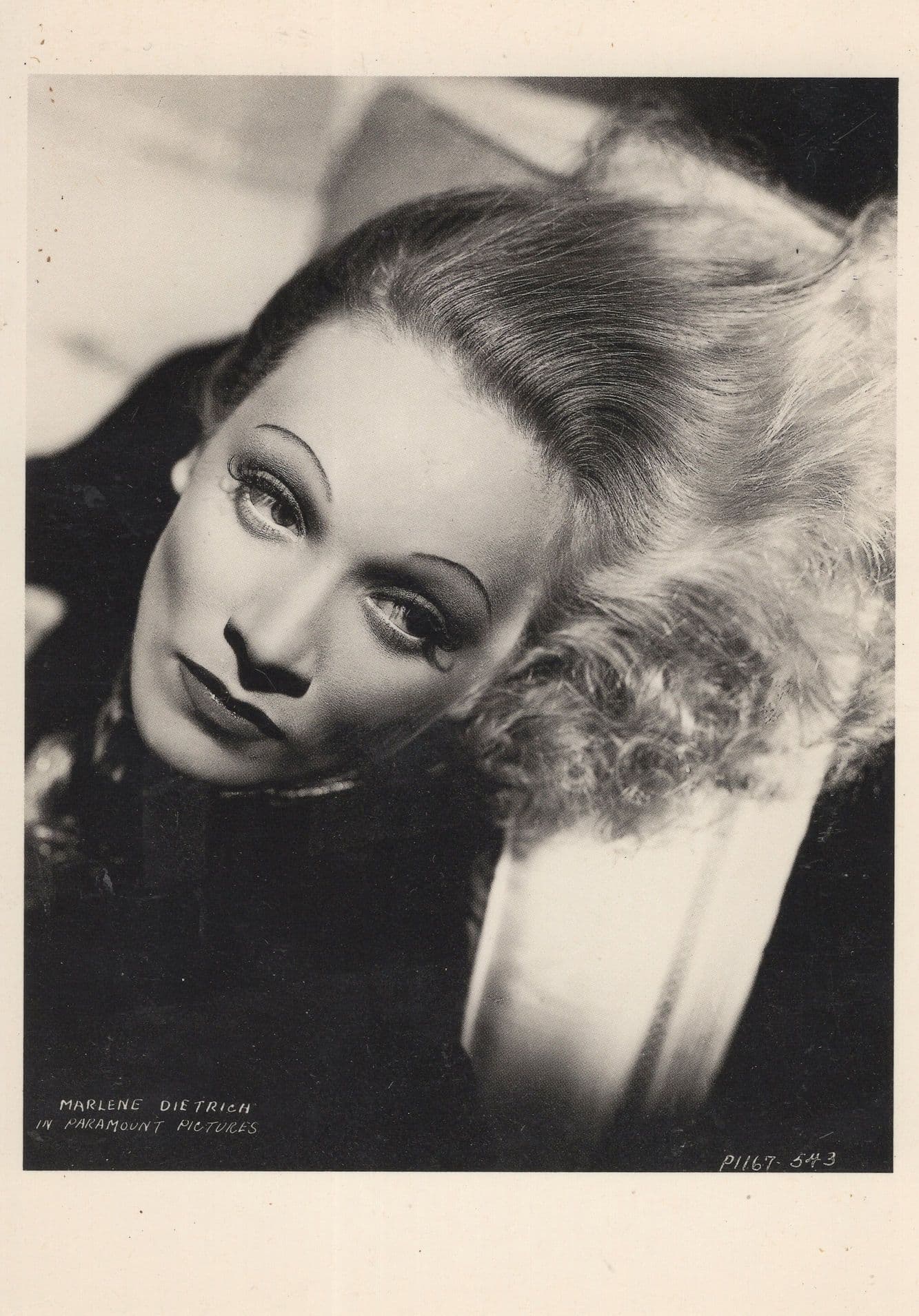 Marlene Dietrich Rare 1980s French Film Photo Postcard