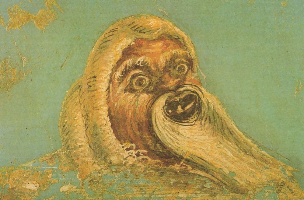 Mask Of A Feather Roman Play Pompeii AD79 Rome Postcard