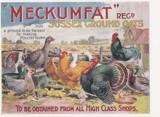 Meckumfat Sussex Ground Oats Antique Advertising Postcard