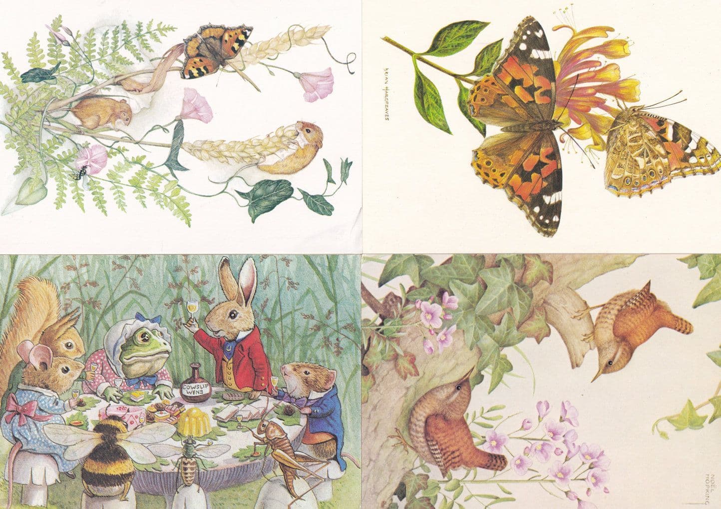 Medici Butterfly Woodland Birds & The Bees 4x Postcard s