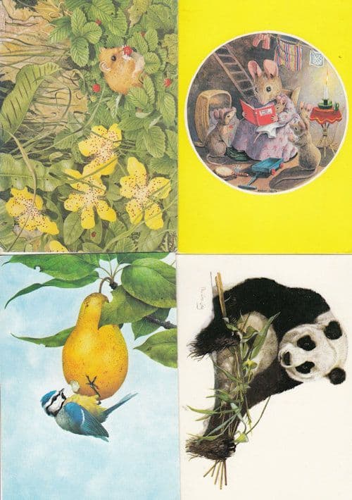 Medici Panda Dormouse Bird 4x Animal Postcard s