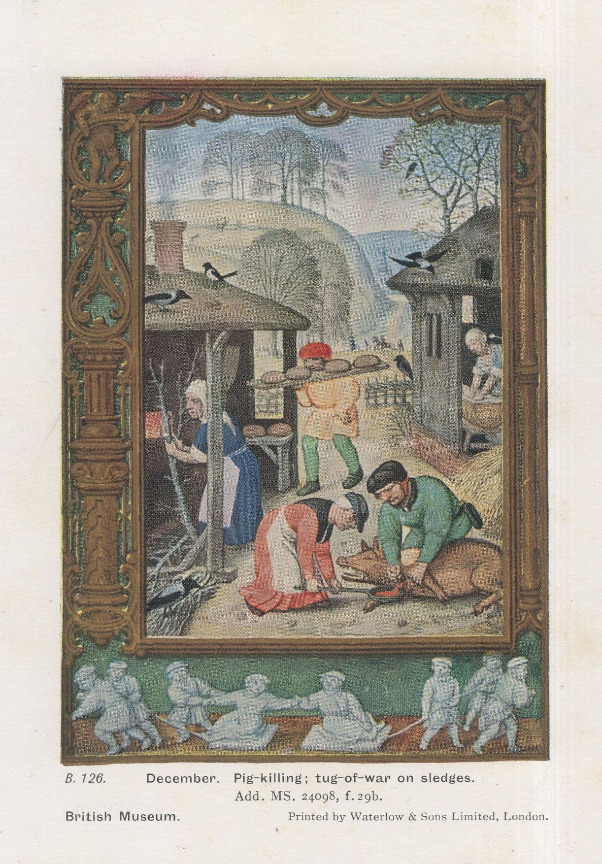 Medieval Game Of Pig Killing Tug Of War Middle Ages Old PB Postcard