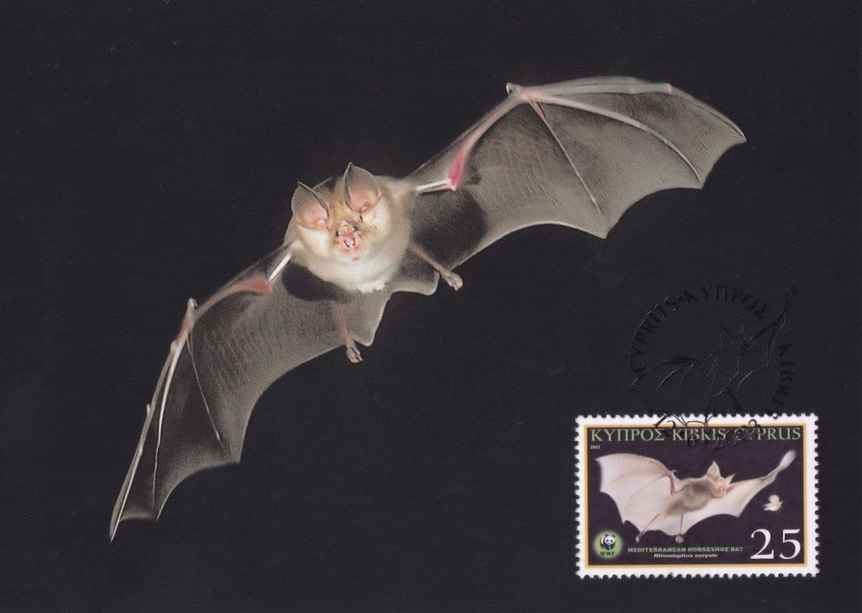 Mediterranean Horseshoe Bat Rhinolophe Euryale Rare FDC WWF Postcard
