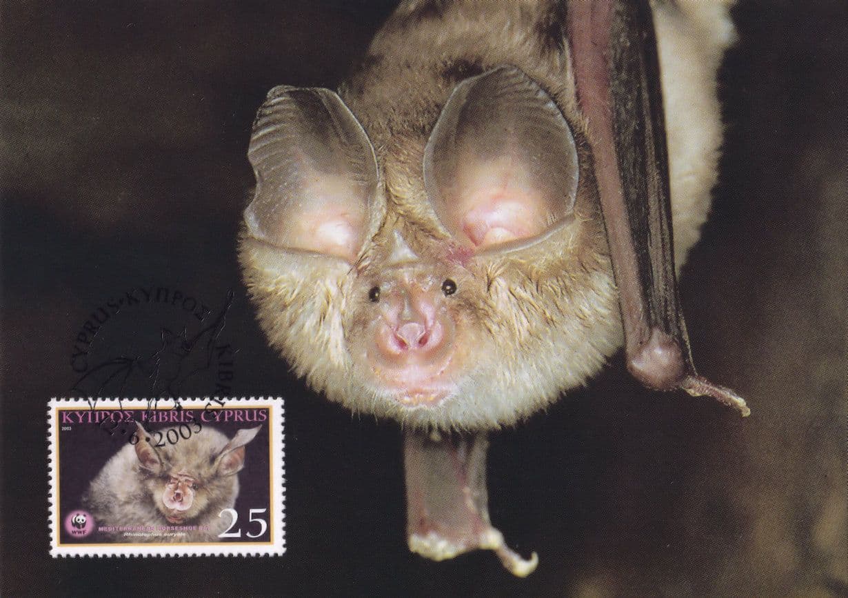 Mediterranean Horseshoe Bat Stamp Rare FDC Postcard