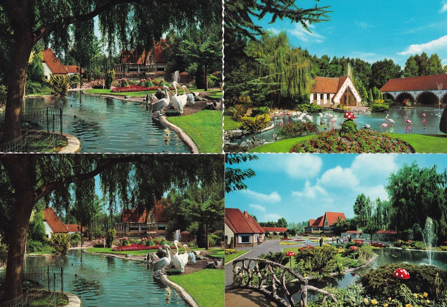 Meli Park Belgium Flamingoes Pelicans Birds 4x Postcard s