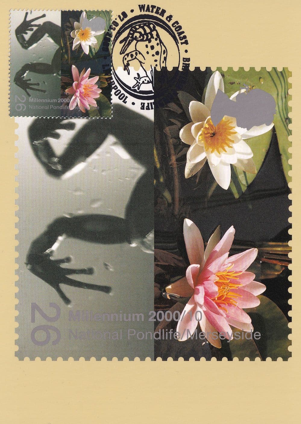 Merseyside National Pond Life Water Flowers FDC Postcard