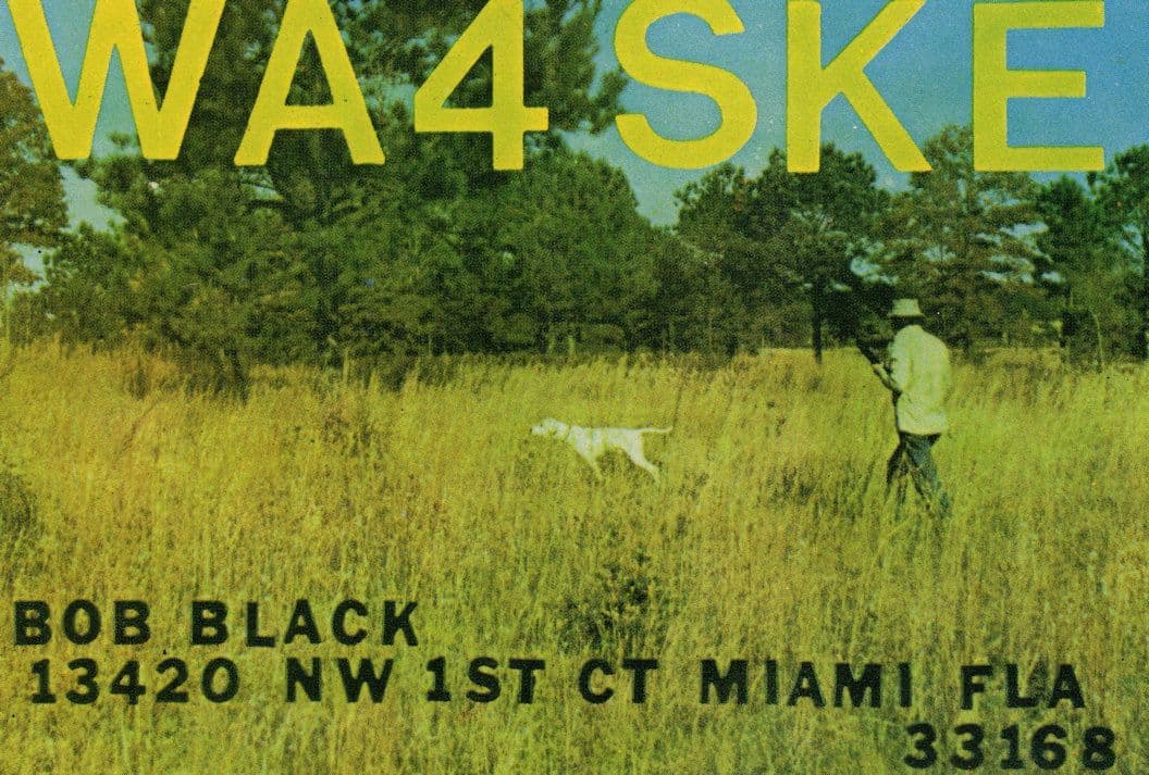 Miami Florida Man Walking Dog With Walkie Talkie QSL Radio Card
