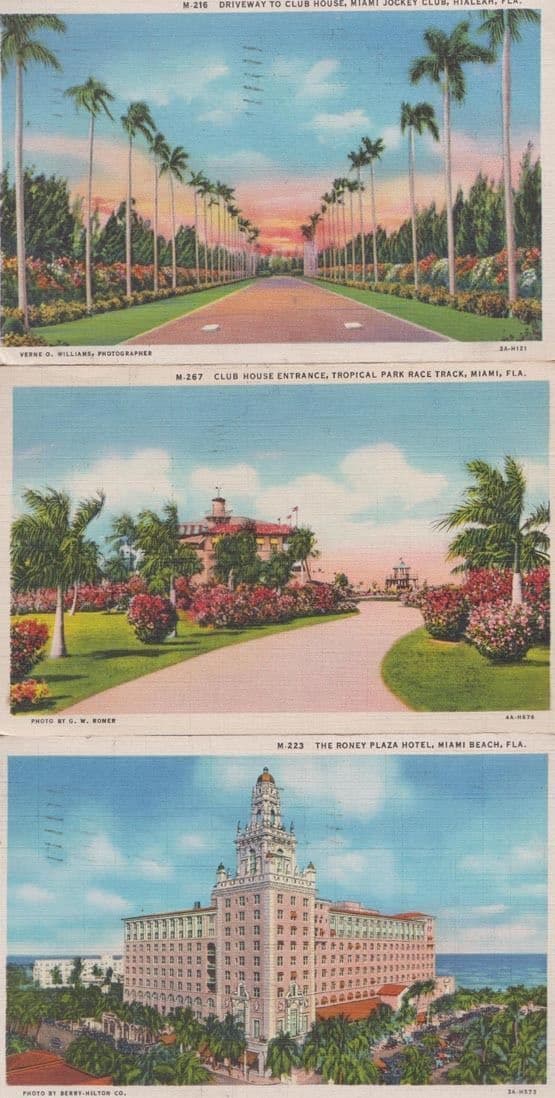 Miami Horse Race Track Jockey Club Plaza Hotel 3x Postcard s