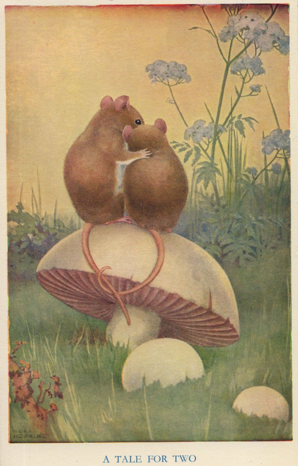 Mice Lovers A Tale For Two Medici Old Postcard