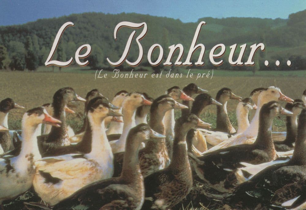 Michel Serrault Le Bonheur French Comedy Film Advertising Postcard