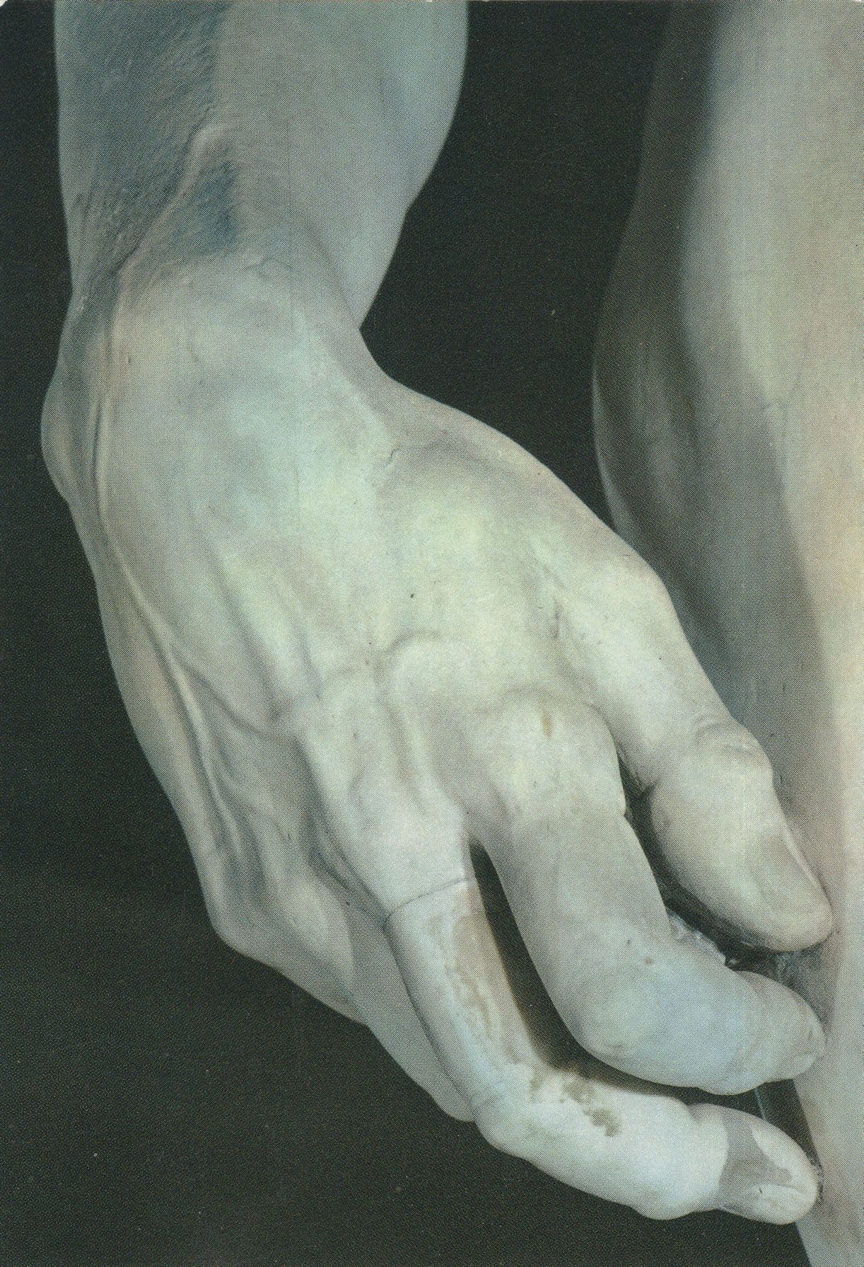 Michelangelo David The Hand Of Firenze Sculpture Art Postcard
