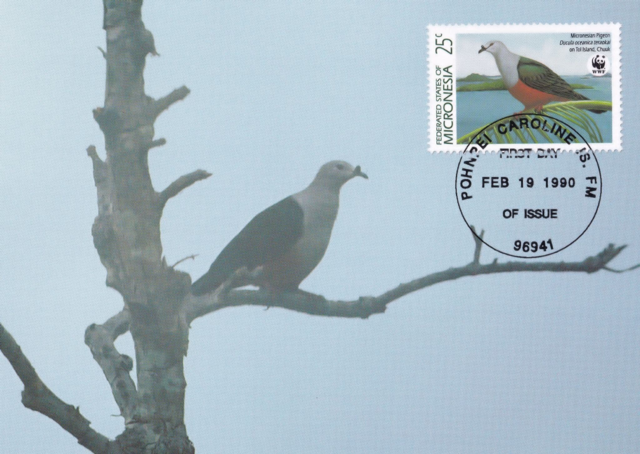 Micronesian Pigeon Bird Caroline Islands in New Guinea WWF Stamp FDC Postcard