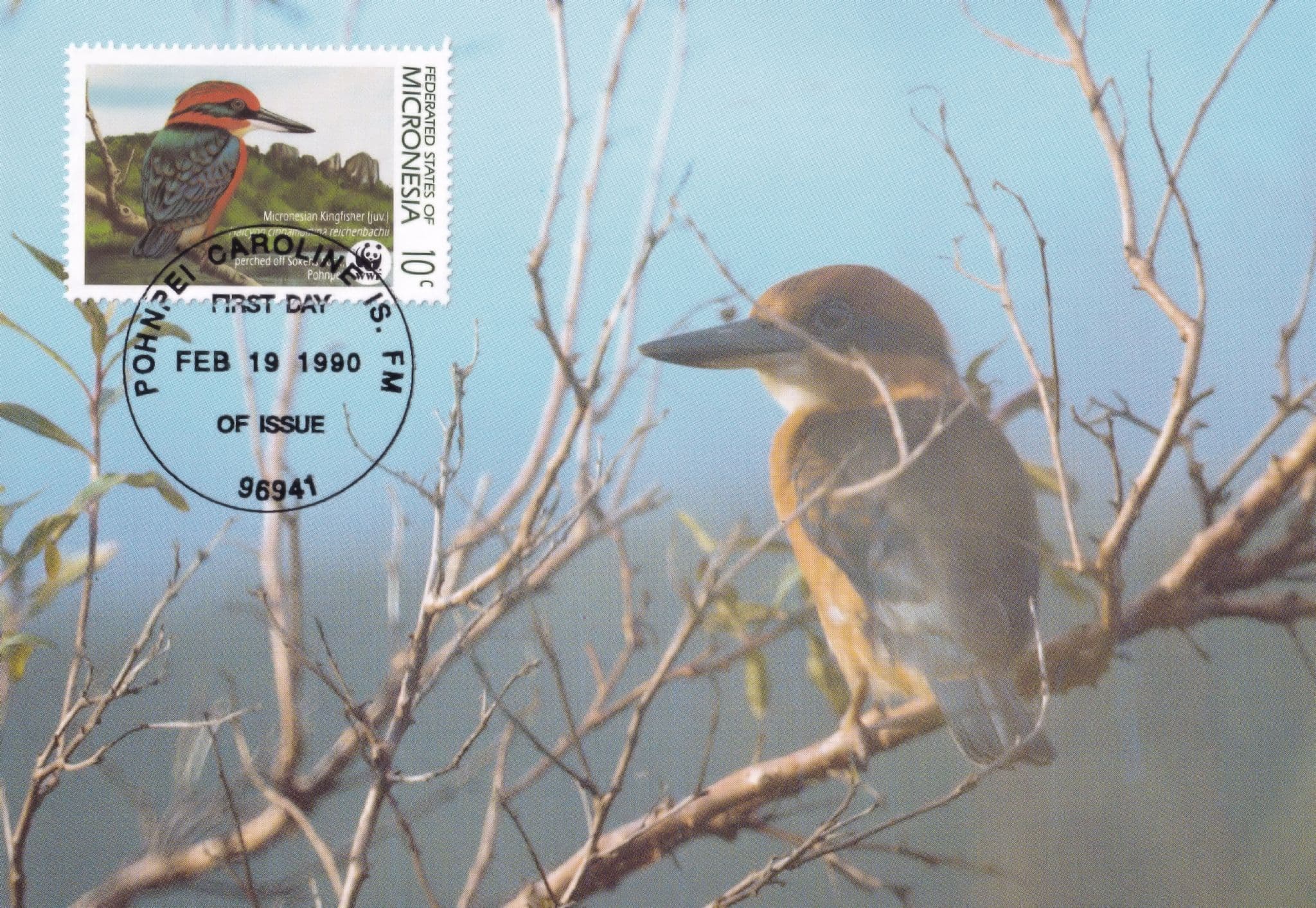 Micronesian Pigeon Bird Caroline Islands New Guinea WWF Stamp FDC Postcard