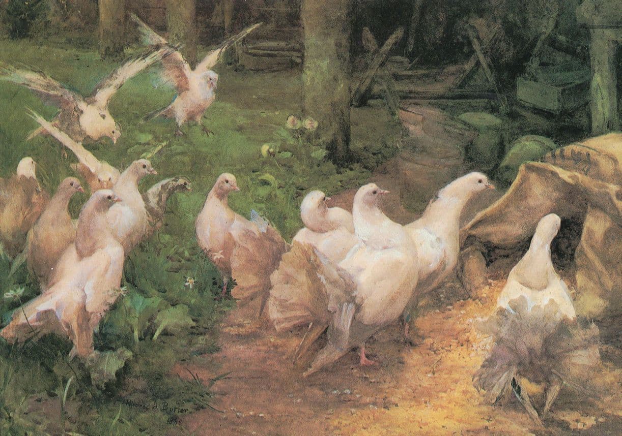 Mildred Anne Butler A Preliminary Investigation Farm Painting Postcard