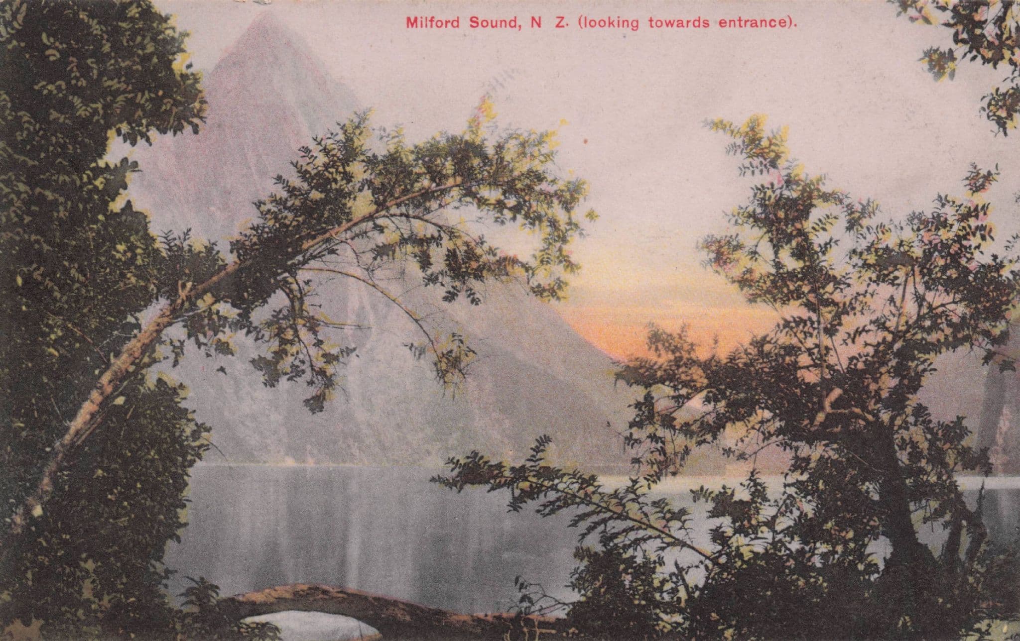 Milford Sound Mist Looking Towards Entrance Rare New Zealand Old Postcard