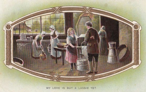 Milk Girls on Dairy Farm Antique Milking Cowgirls Farming Romance Postcard