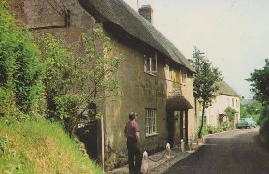 Mill Lane Nosey Neighbour Chideock Dorset 1970s Postcard