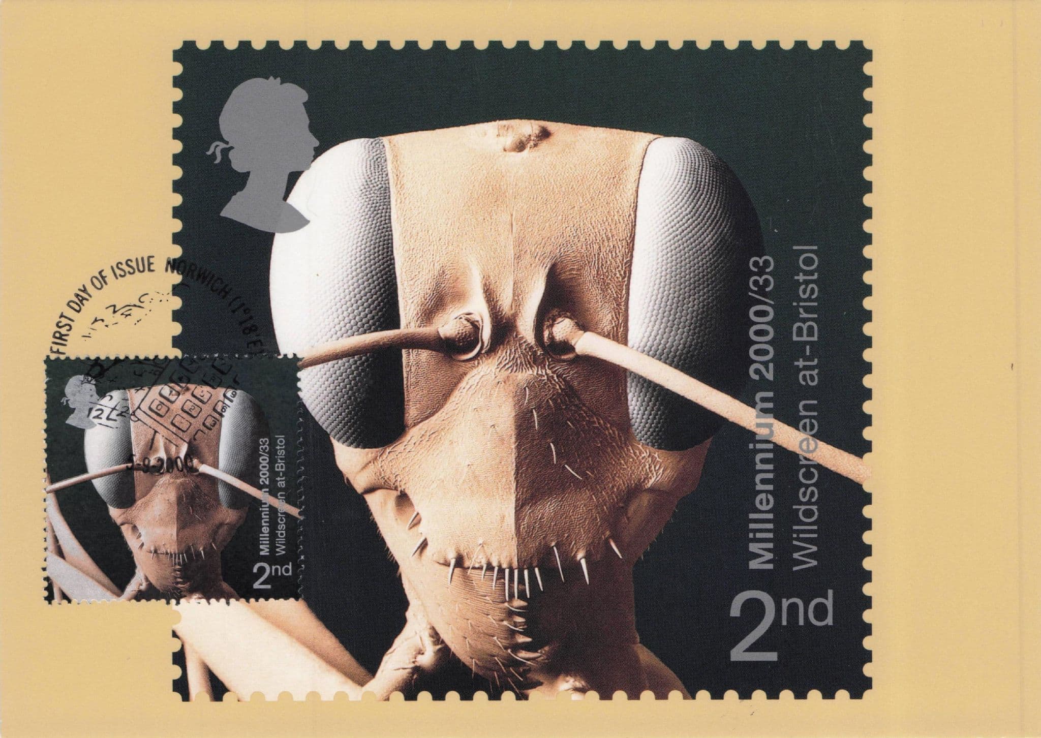 Millennium Wildscreen At Liverpool First Day Cover Postcard
