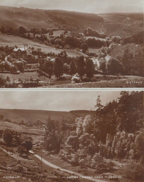 Minehead Alcombe Common Antique Postcard
