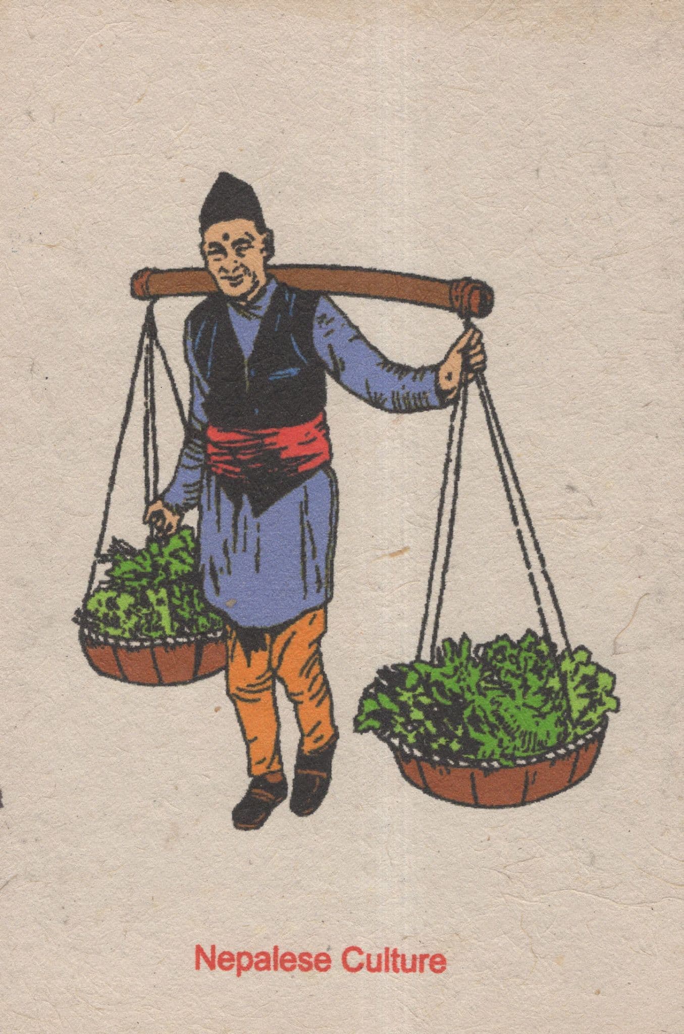 Mithila Art Indian Madhubani Nepalese Vegetable Carrier Painting Postcard