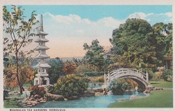 Moanalua Tea Gardens Honolulu Antique Postcard