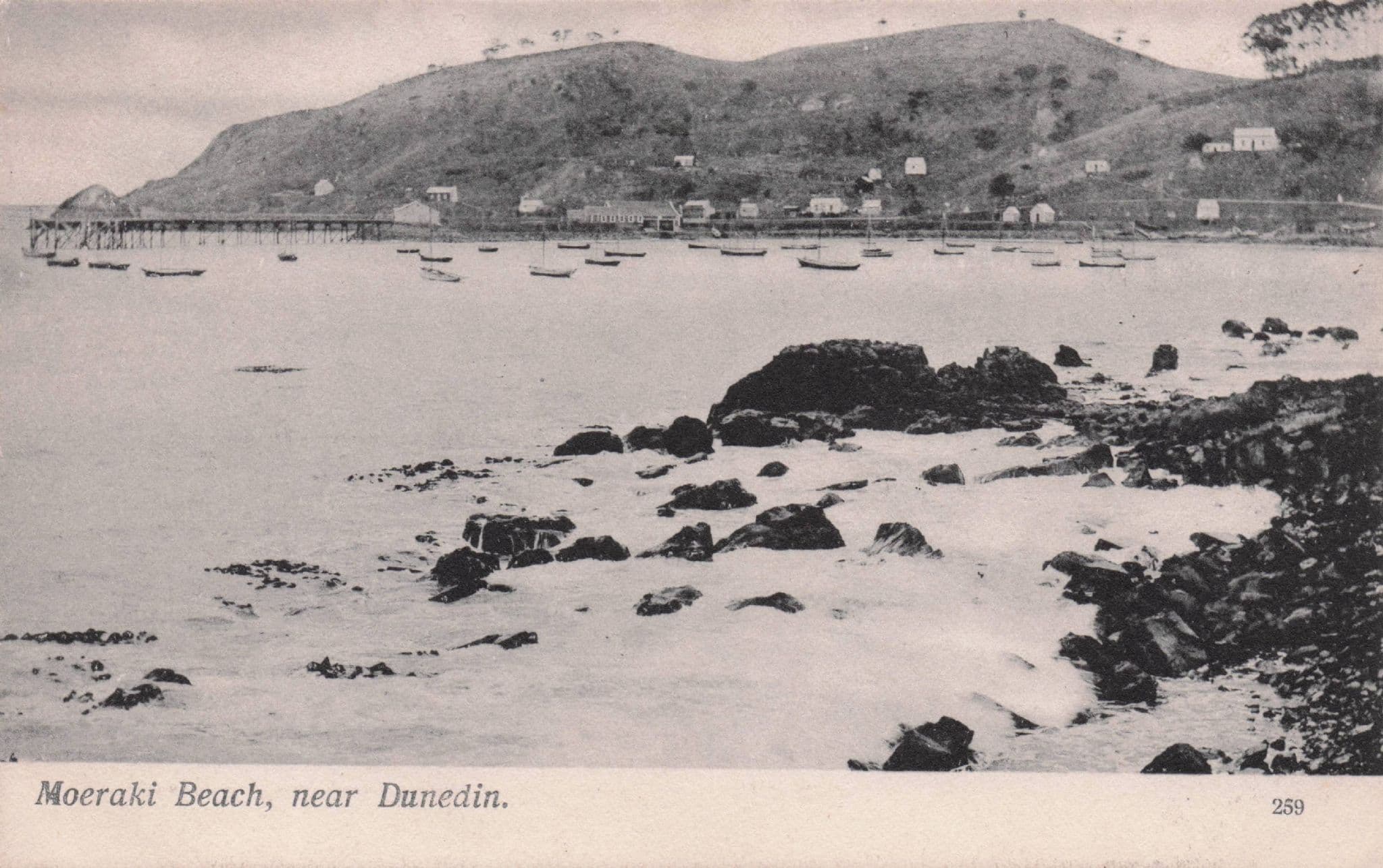 Moeraki Beach New Zealand Antique Dunedin Coast Old Postcard