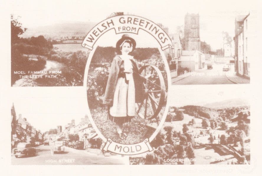 Mold Wales The Little Path Loggerheads Welsh Postcard