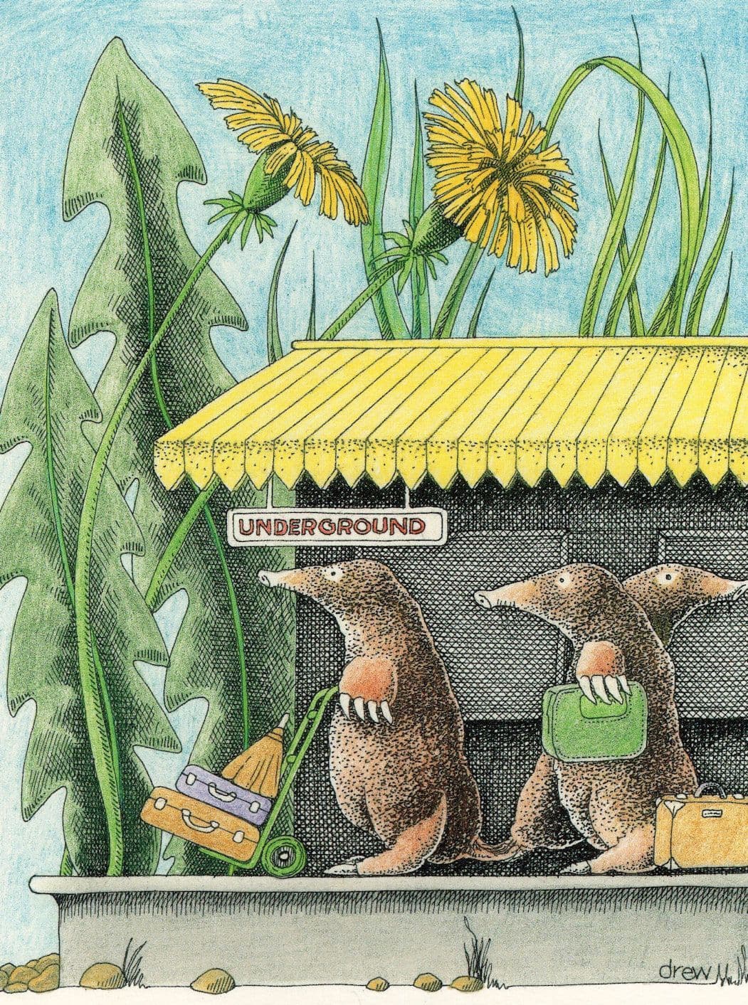 Moles at London Underground Station Molestation Comic Postcard