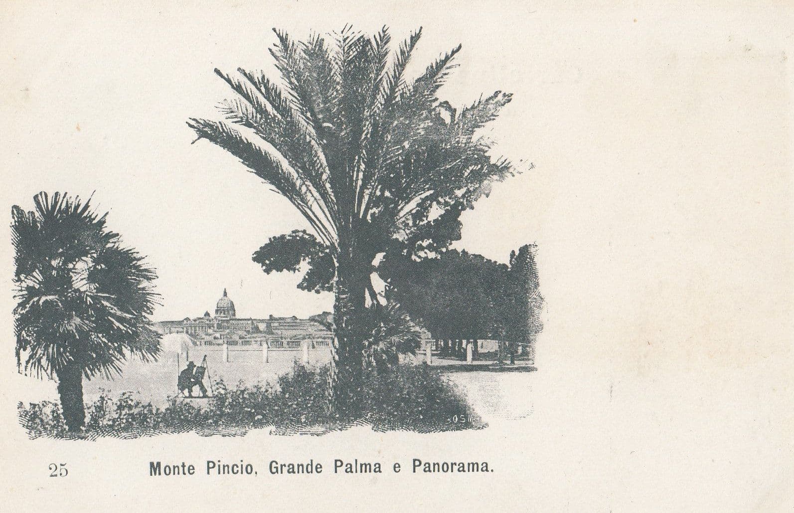 Monte Pincio Grande Palma E Panorama Old Italian Postcard