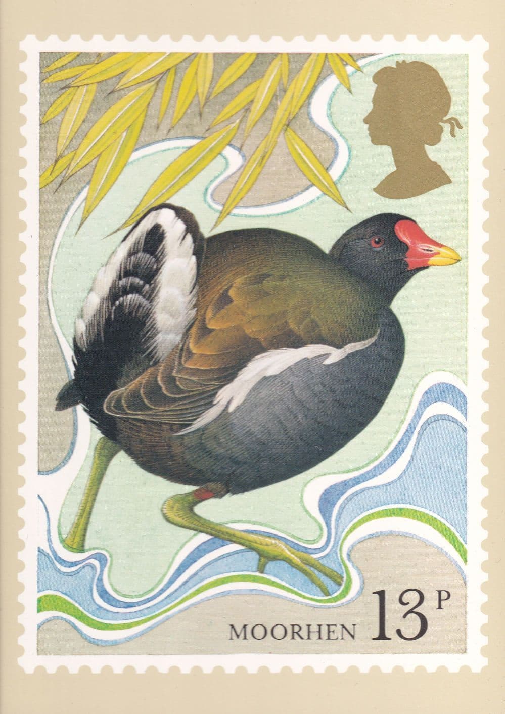 Moorhen Bird PHQ Royal Mail Postcard