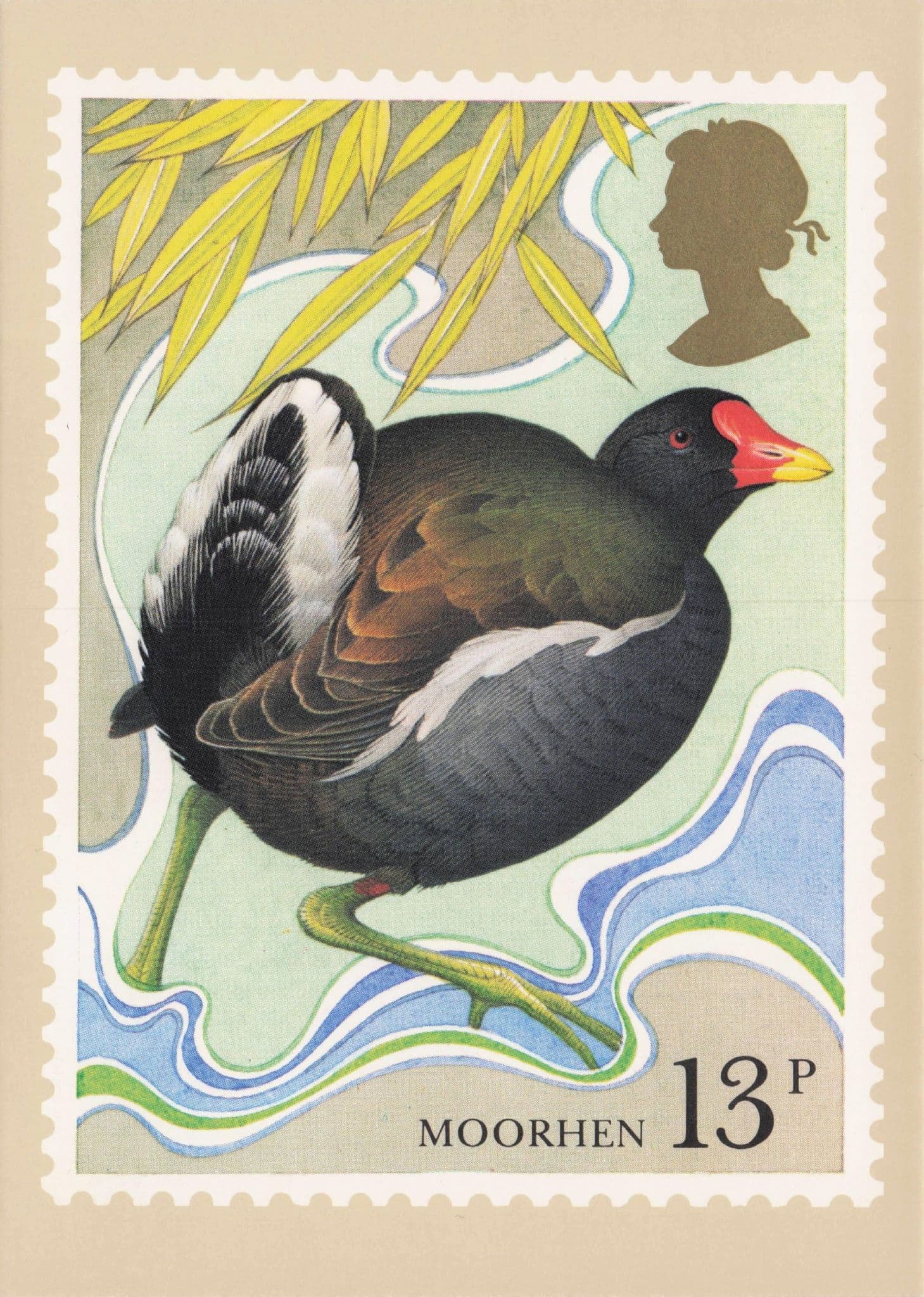 Moorhen River Bird Painting First Day Cover Stamp Postcard