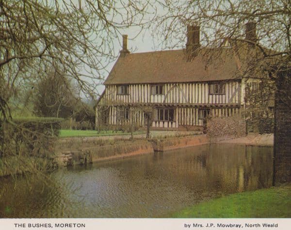 Moreton Tudor Cottage Epping Forest Womens Institute Rare Essex Vintage Postcard