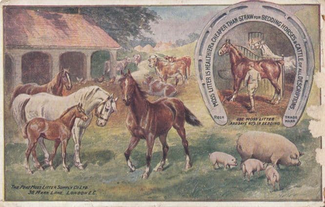 Moss Horse Cattle Manure Sheep Farm Litter Antique London Advertising Postcard