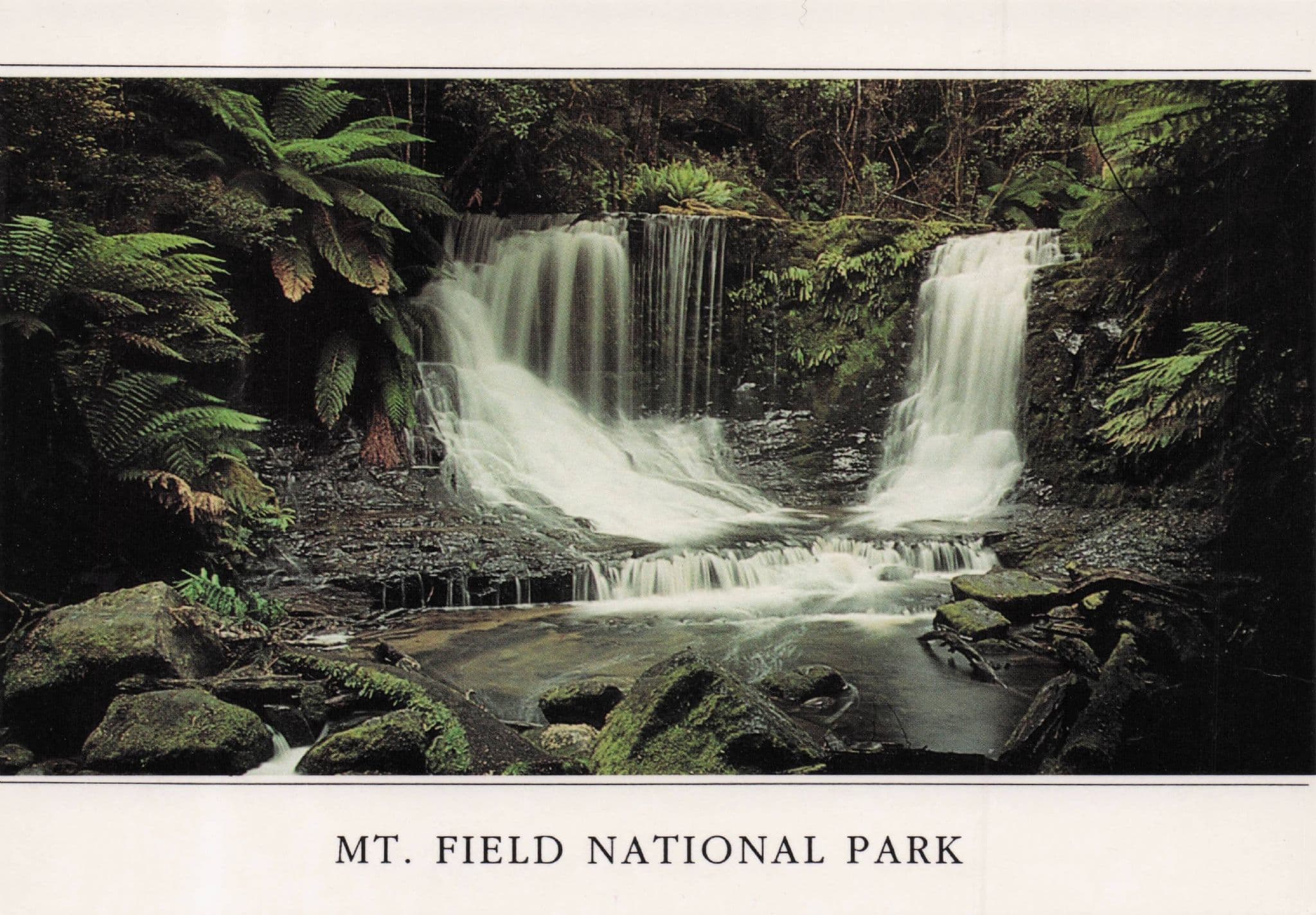 Mount Field National Park Tasmania Australia Stunning Postcard
