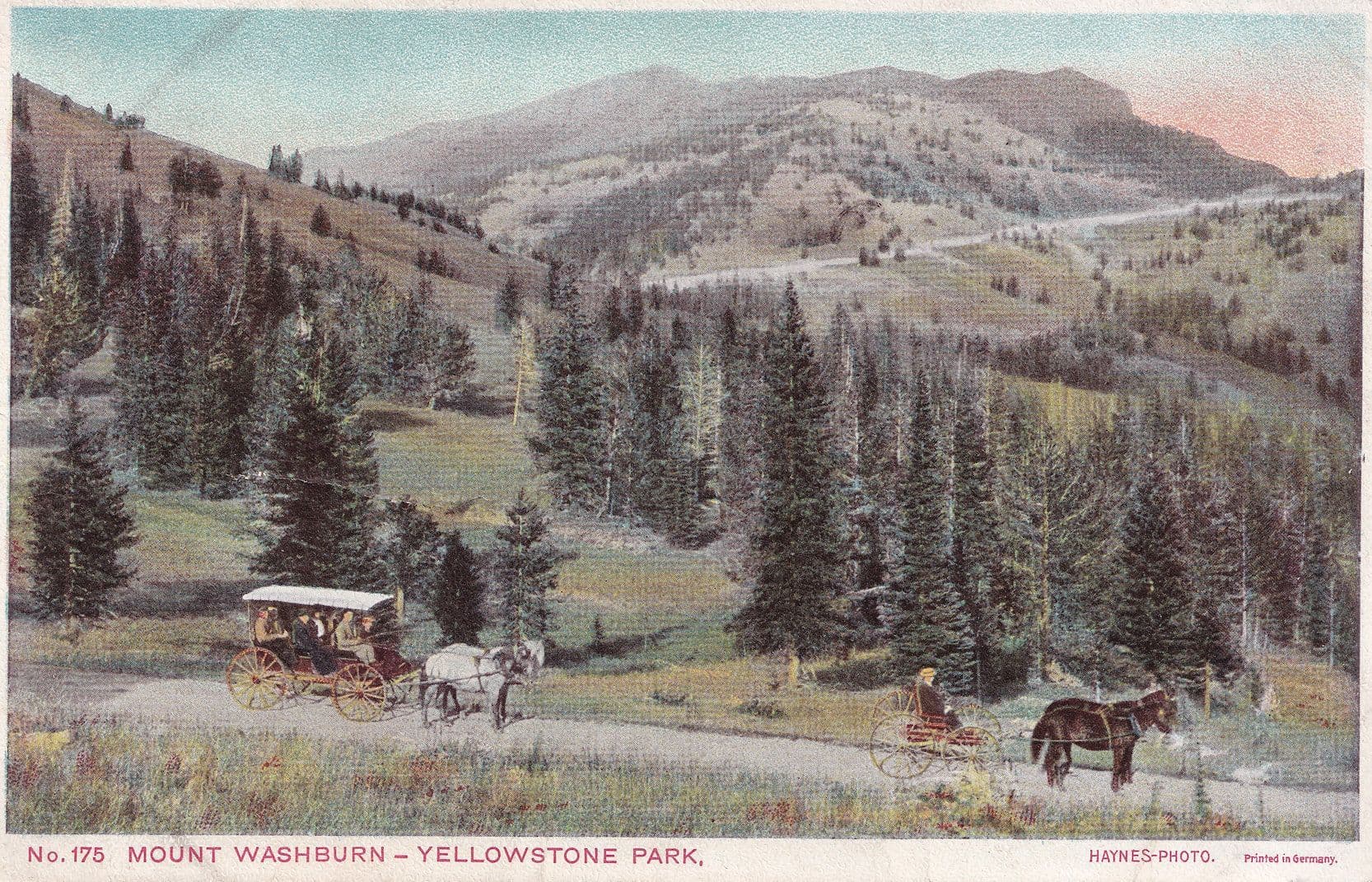 Mount Washburn Yellowstone National Park Haynes Photo Postcard